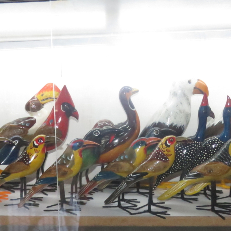 Birds